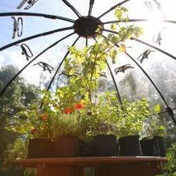 Sunbubble -Outdoor garden care pgsun3