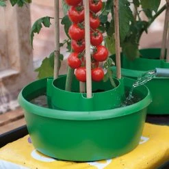 Plant Halos -Outdoor garden care plh5 1