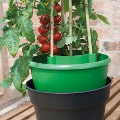 Plant Halos -Outdoor garden care plh7 1