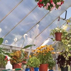 Palram Canopia Balance 8x12 Greenhouse -Outdoor garden care prbal8124