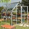 6X4 Greenhouse - Palram Canopia Harmony