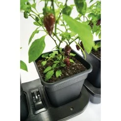 Quadgrow Planter -Outdoor garden care qgp3 4