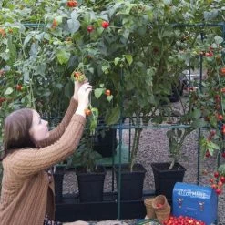 Quadgrow Planter -Outdoor garden care qgp8 3