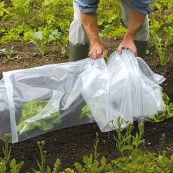 Tunnel Cloche 18 Tunnel Cloche -Outdoor garden care tc4 1