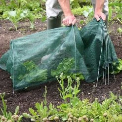 Tunnel Cloche 21 Tunnel Cloche -Outdoor garden care tc7 1