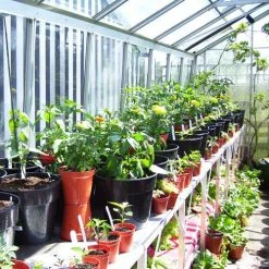 Two Tier Standard Up Staging -Outdoor garden care usstt3