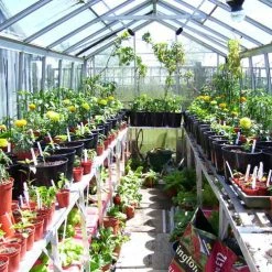 Two Tier Standard Up Staging -Outdoor garden care usstt7